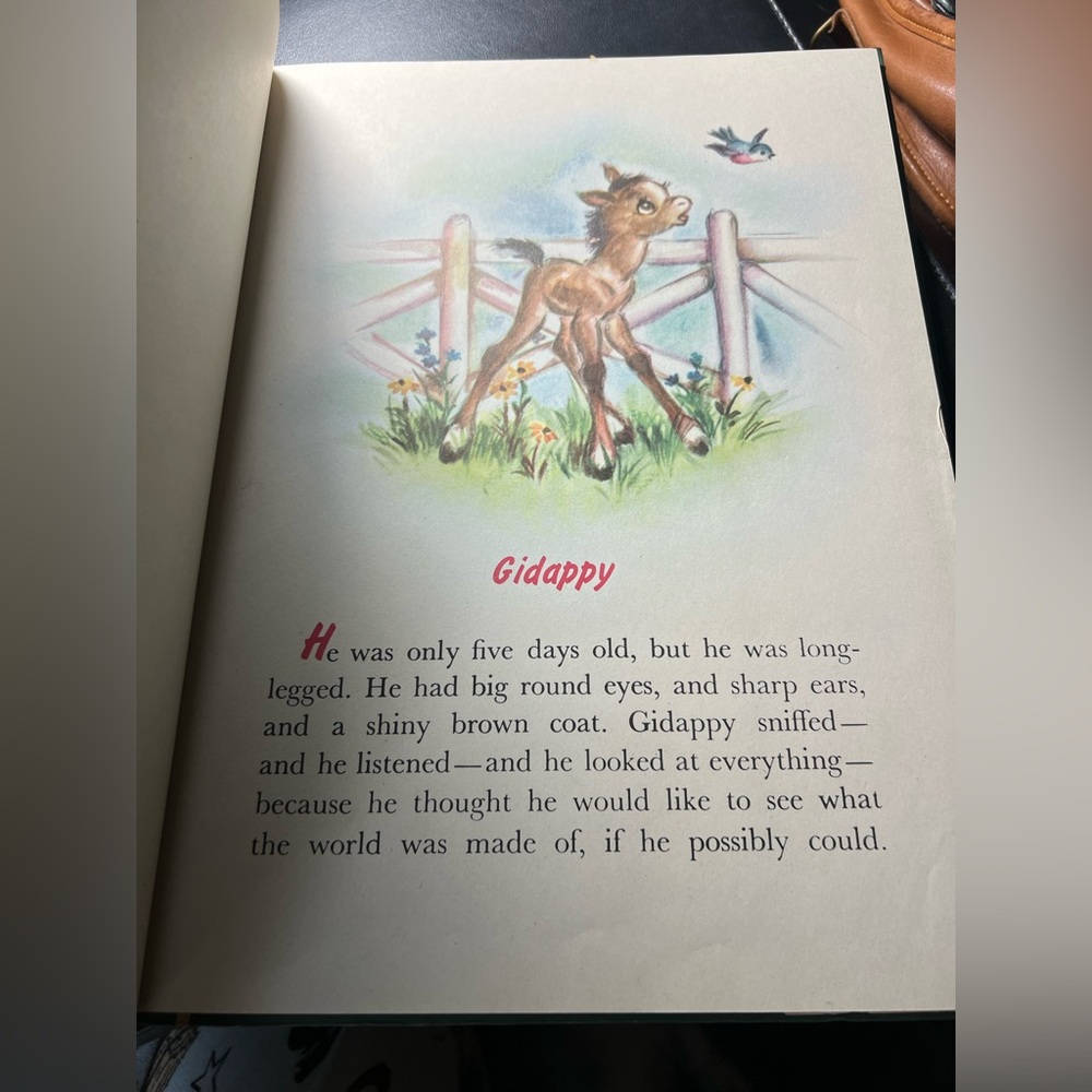 Gidappy Illustrated Children's Book - Picture 8 of 14